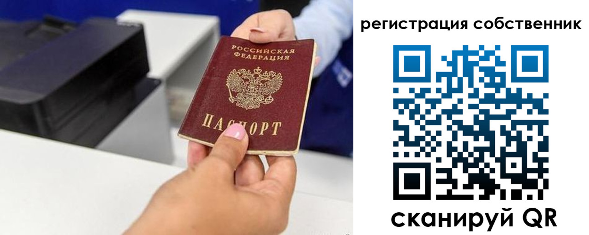 прописка для школы в Почепе